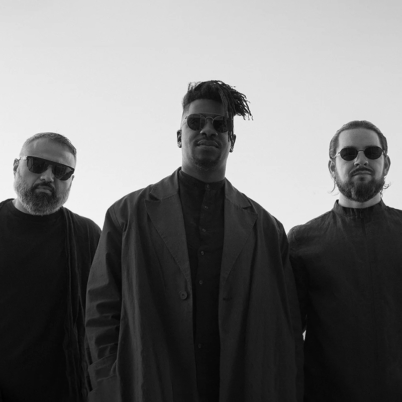 Animals as Leaders