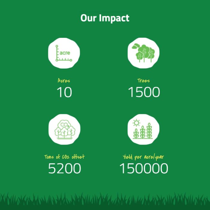 #TheSustainableSquad Tote Bag with Invisible lock by The Green Rising